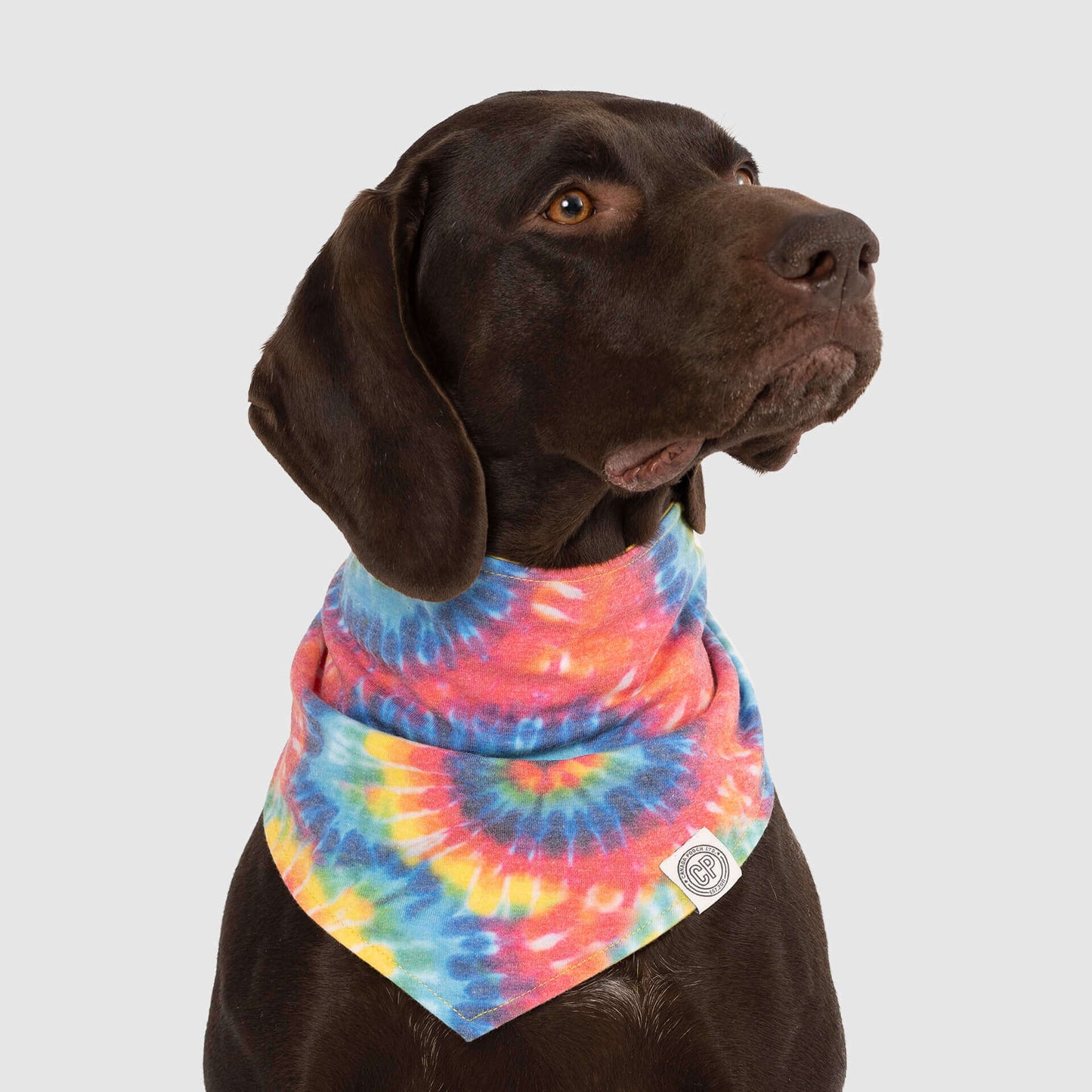 Follow Me Bandana