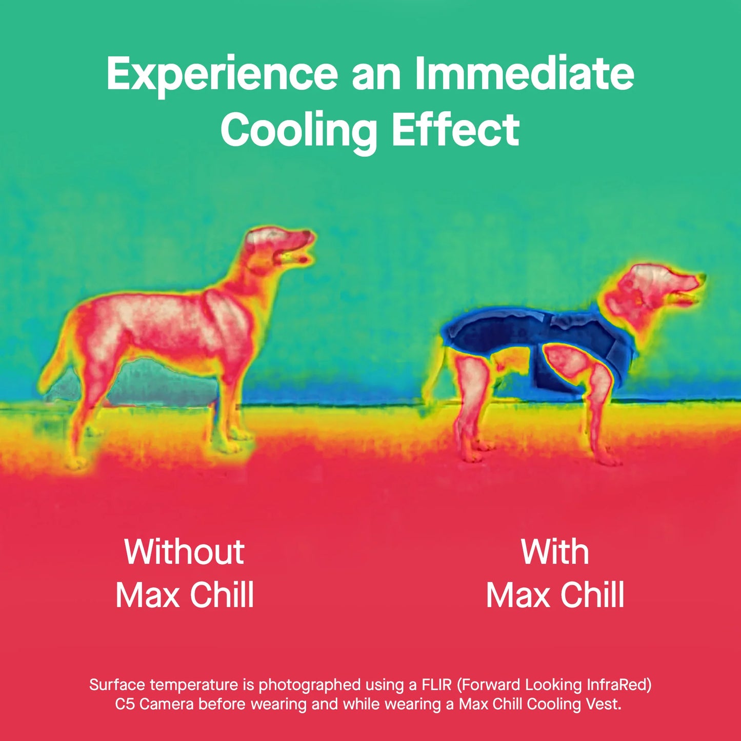 Max Chill Cooling Vest