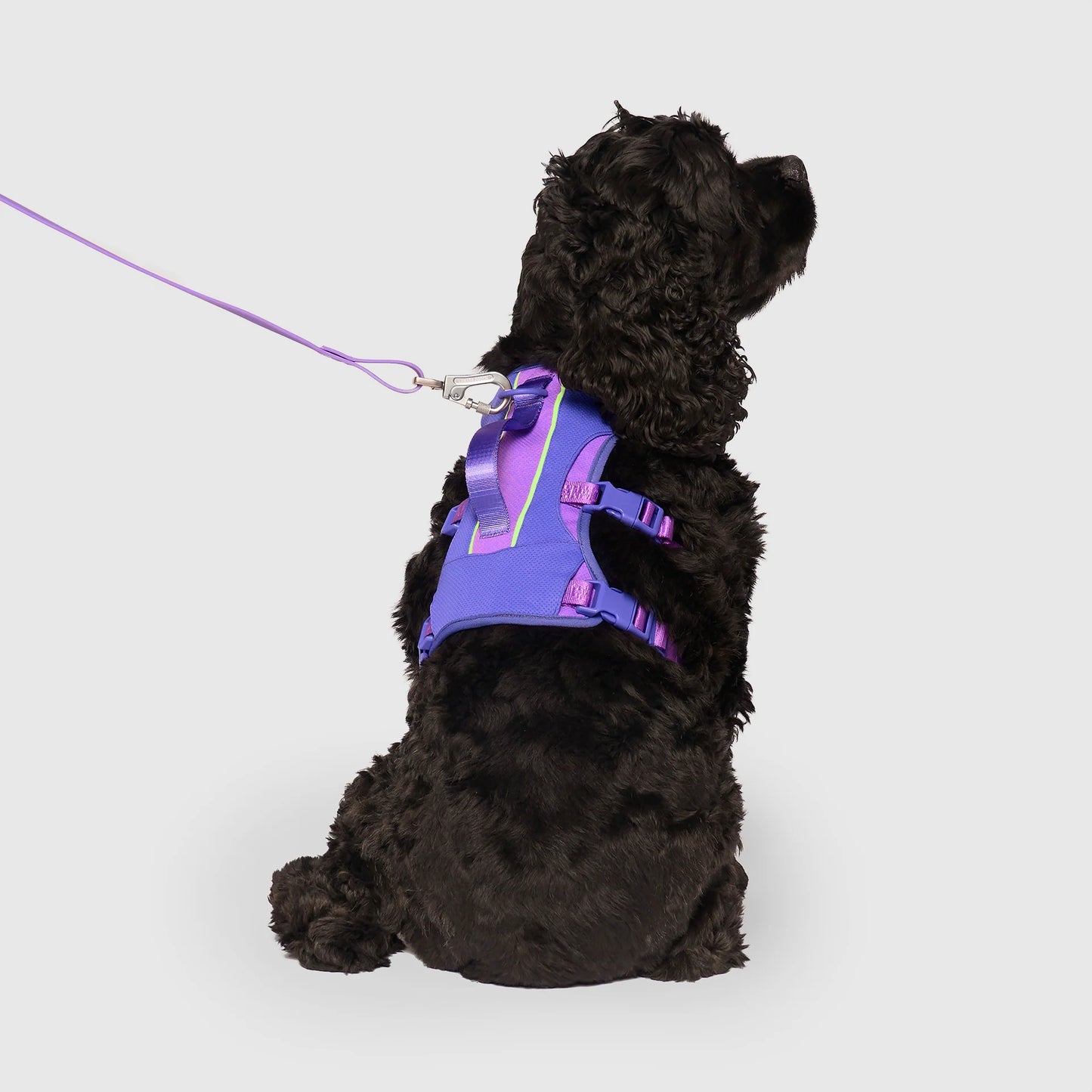 Max Chill Cooling Harness