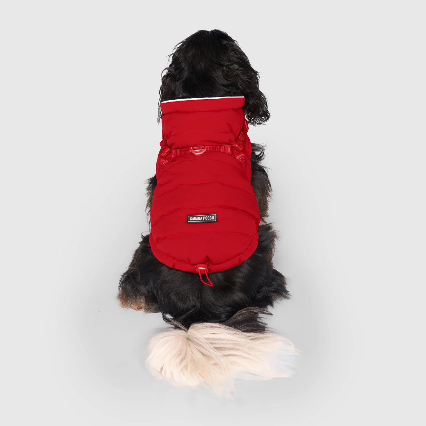 Harness Puffer