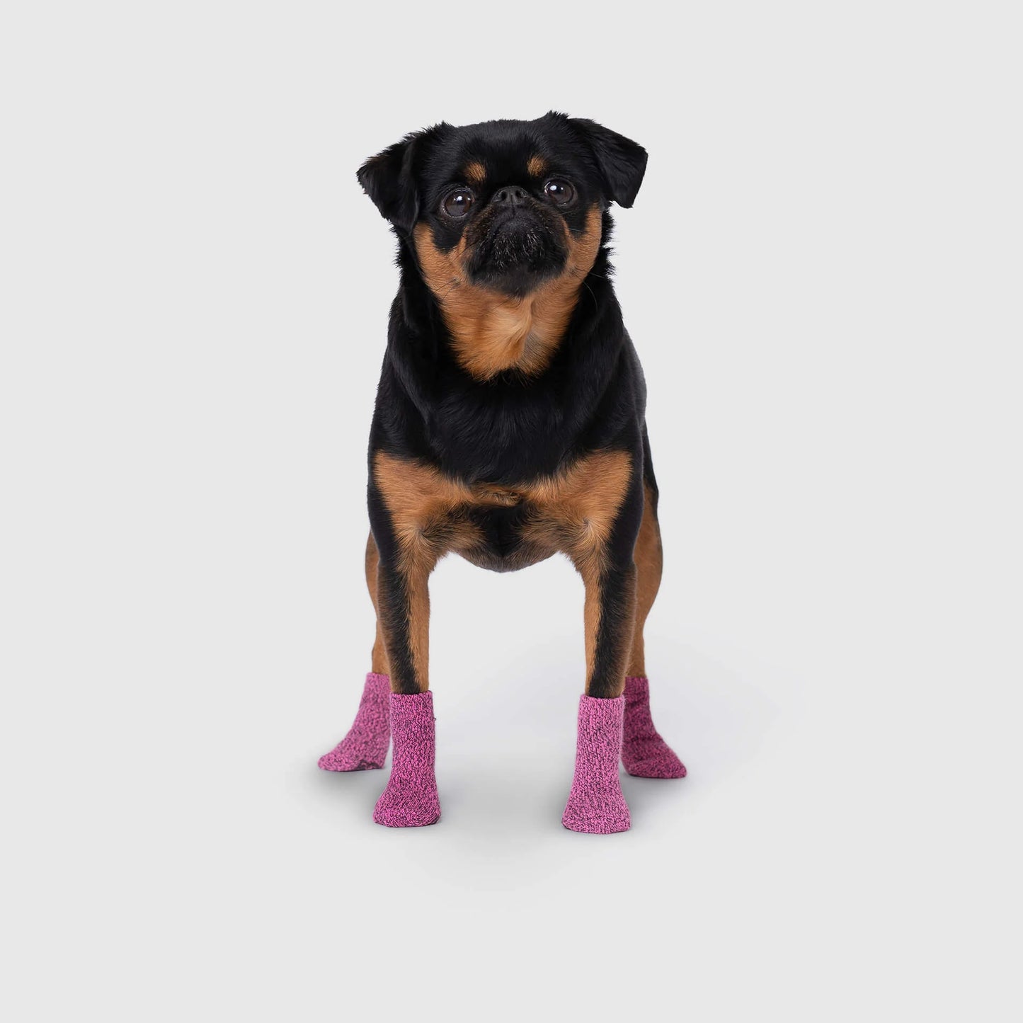 The Basic Sock