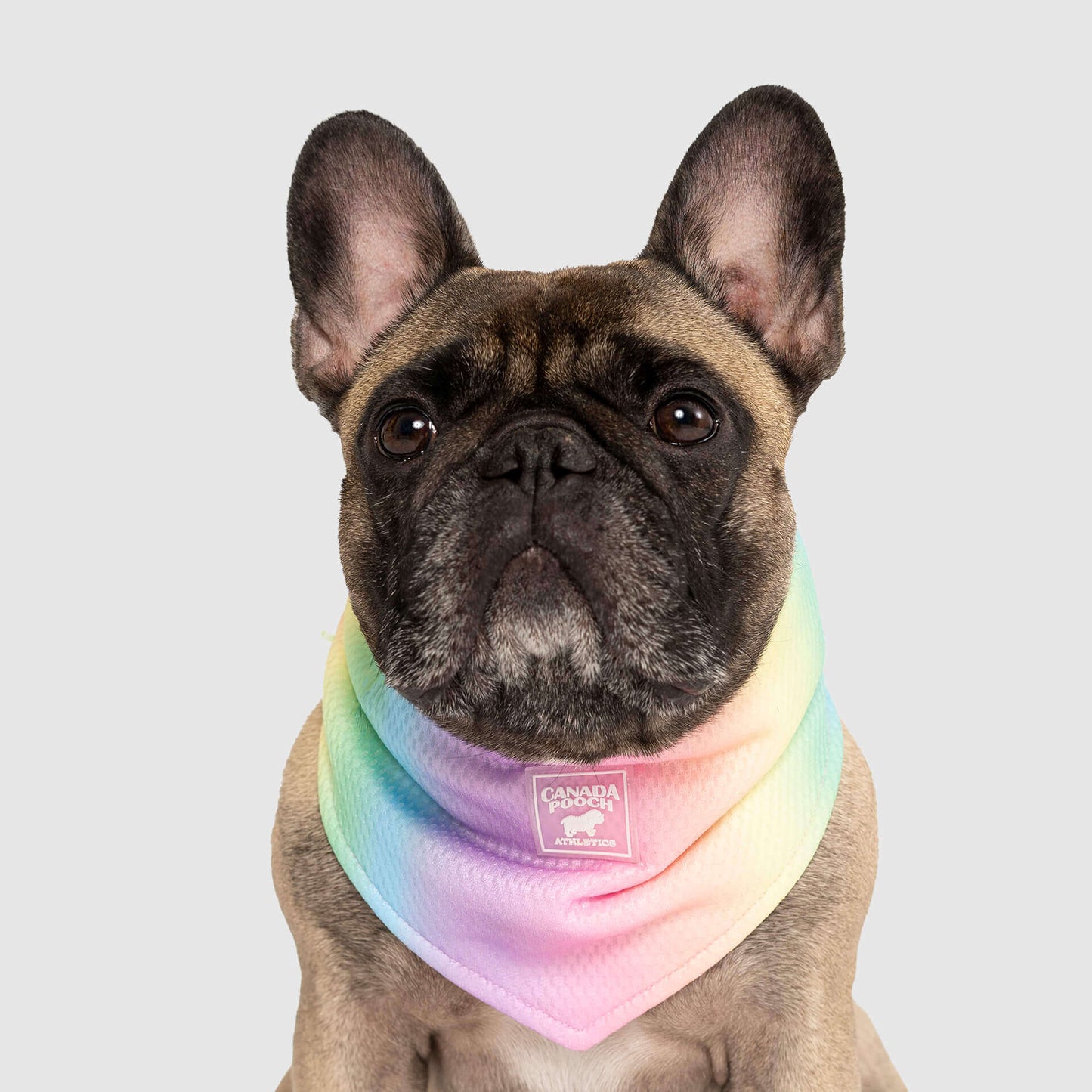 Cooling Bandana