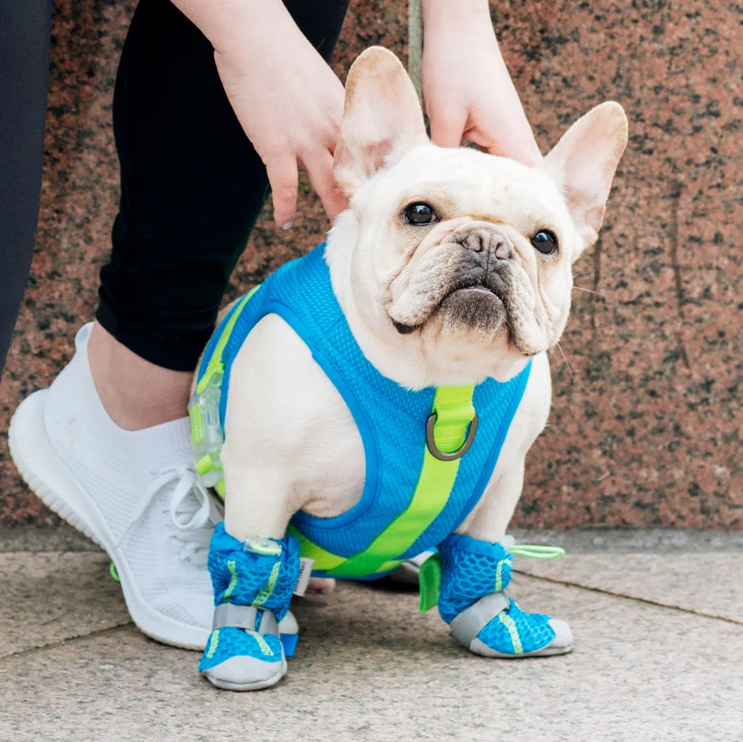 Hot Pavement Boots