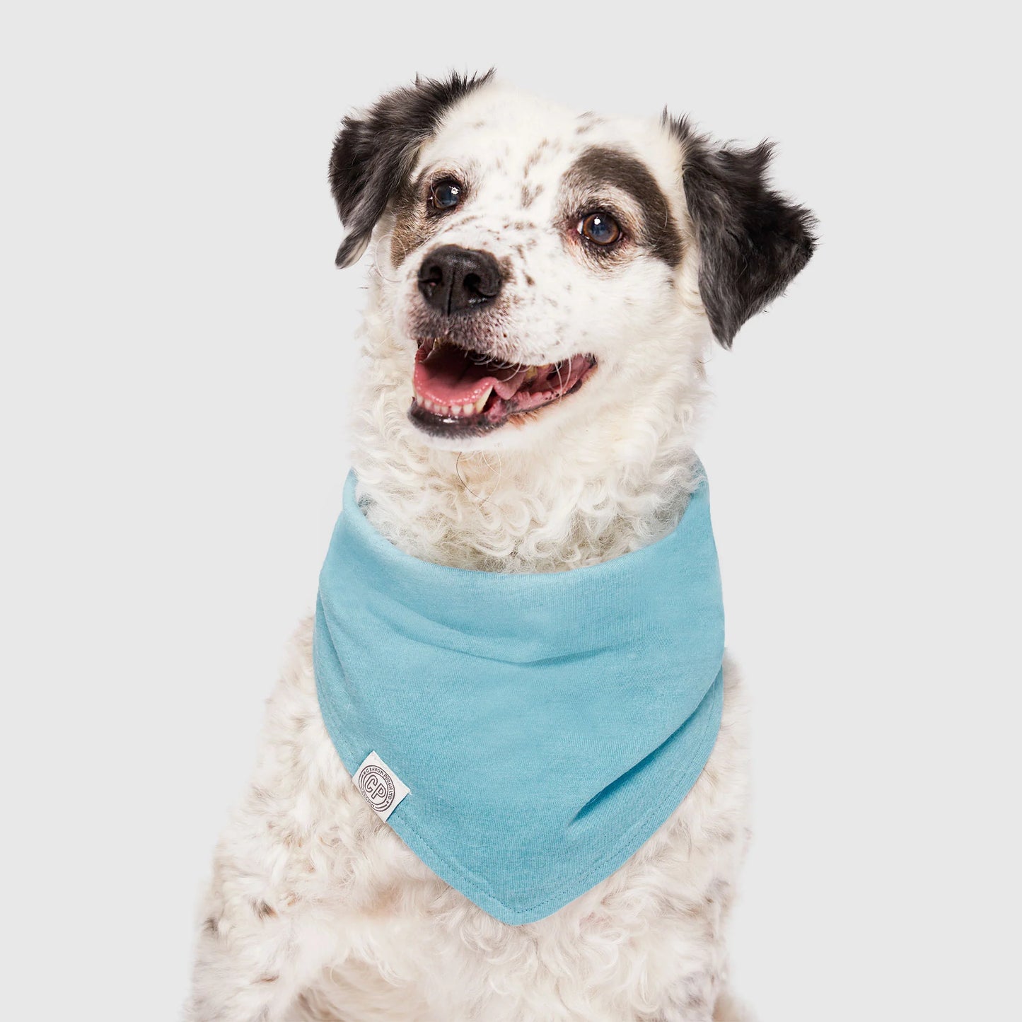 Follow Me Bandana