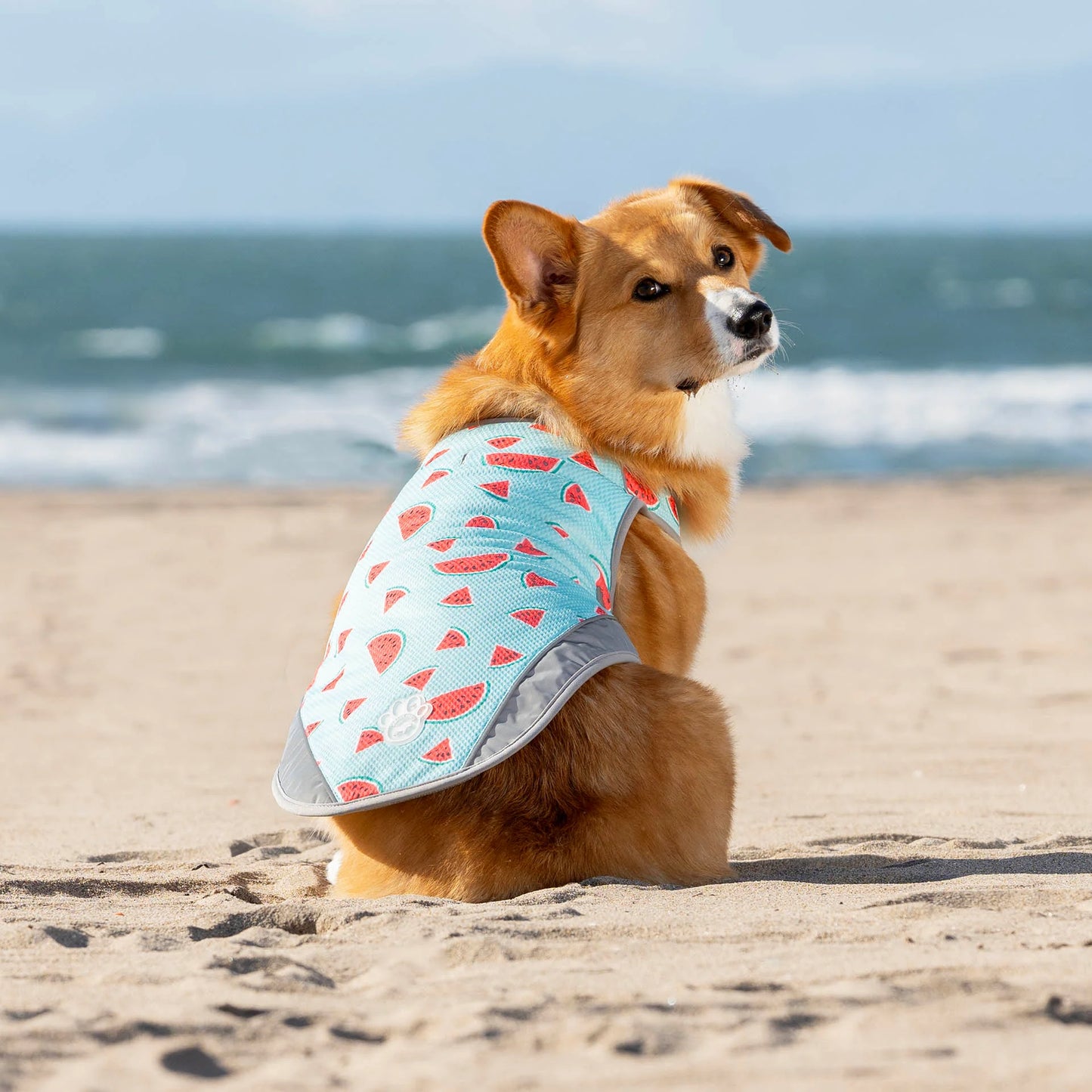 Chill Seeker Cooling Vest
