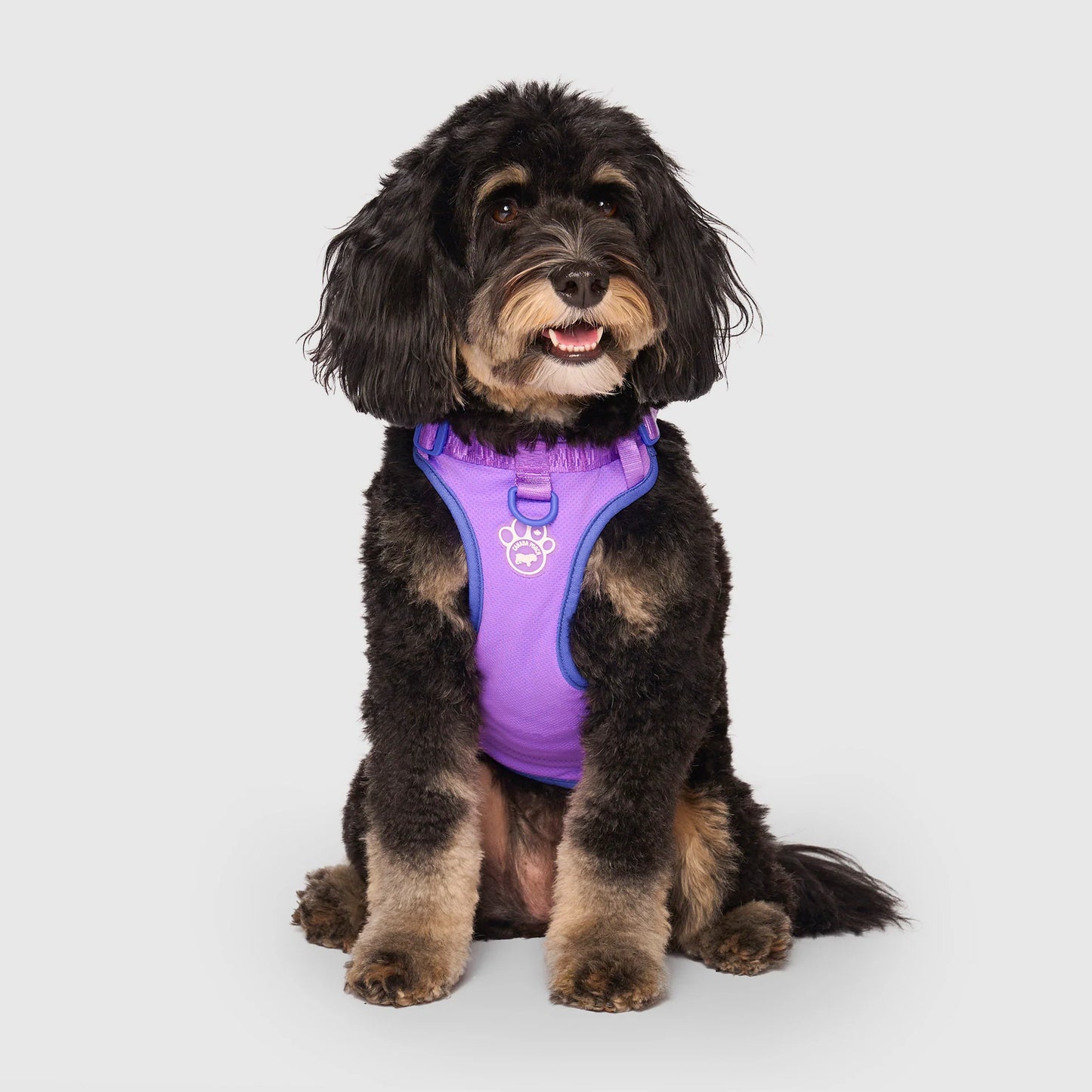 Max Chill Cooling Harness