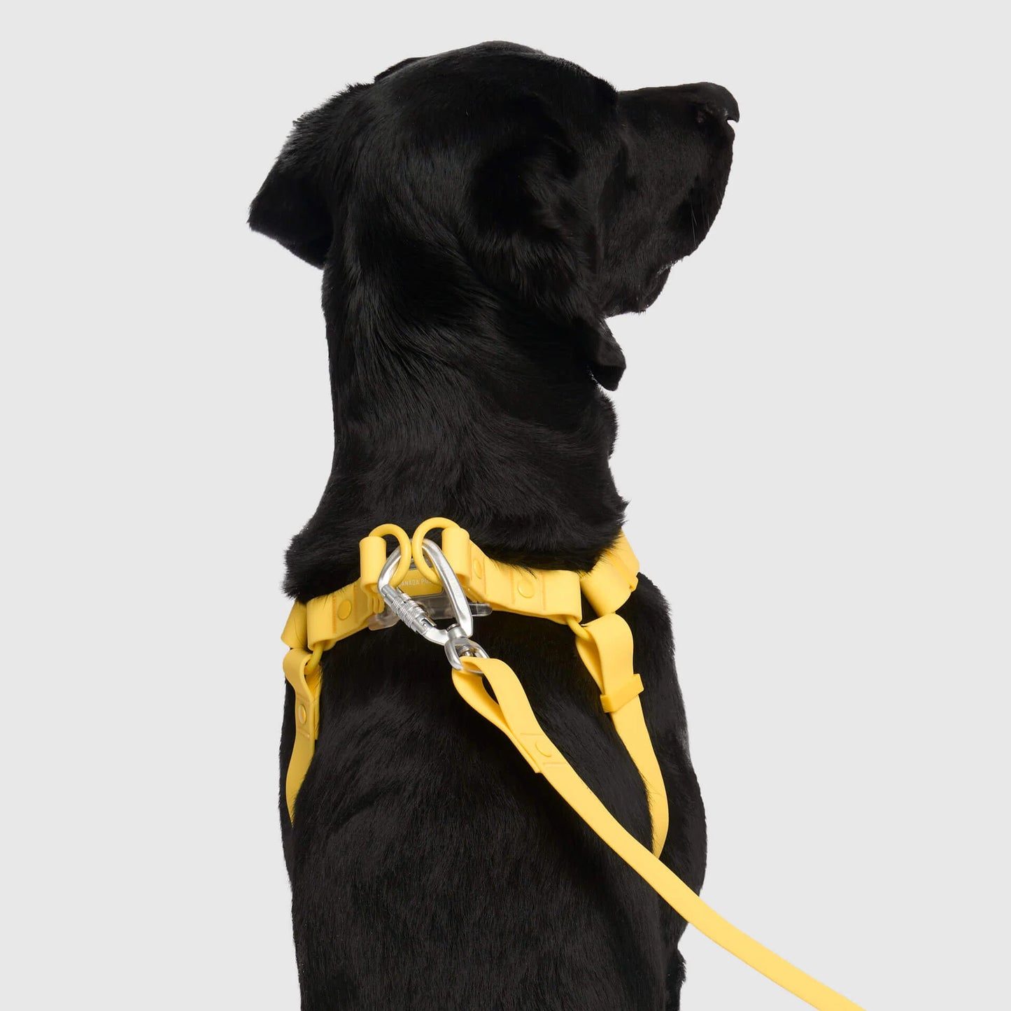 Waterproof Harness