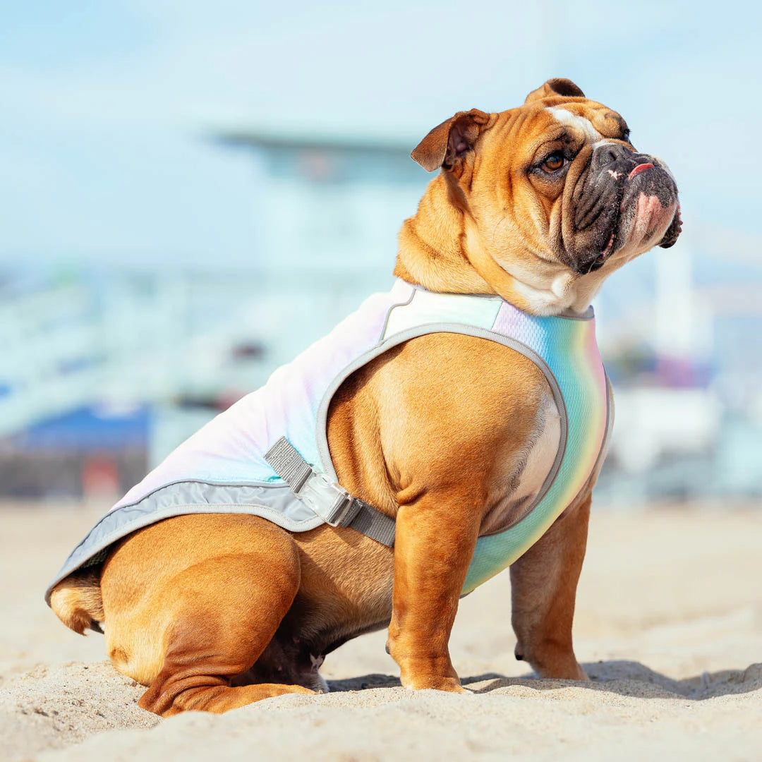Chill Seeker Cooling Vest