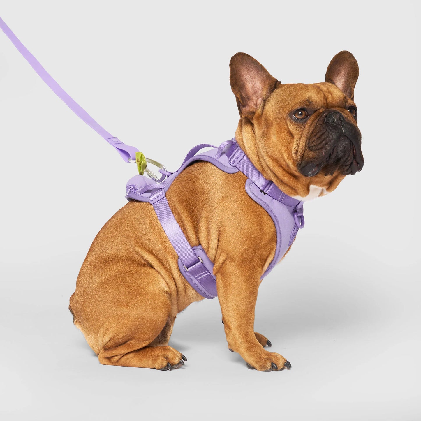 Neoprene Harness