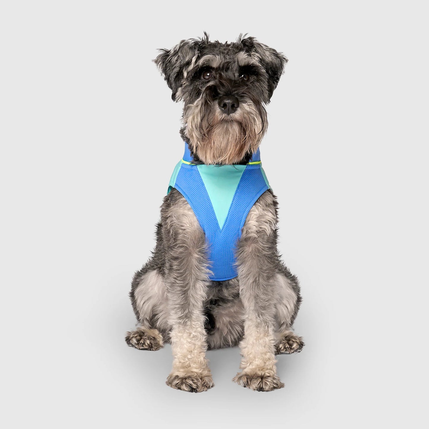 Max Chill Cooling Vest