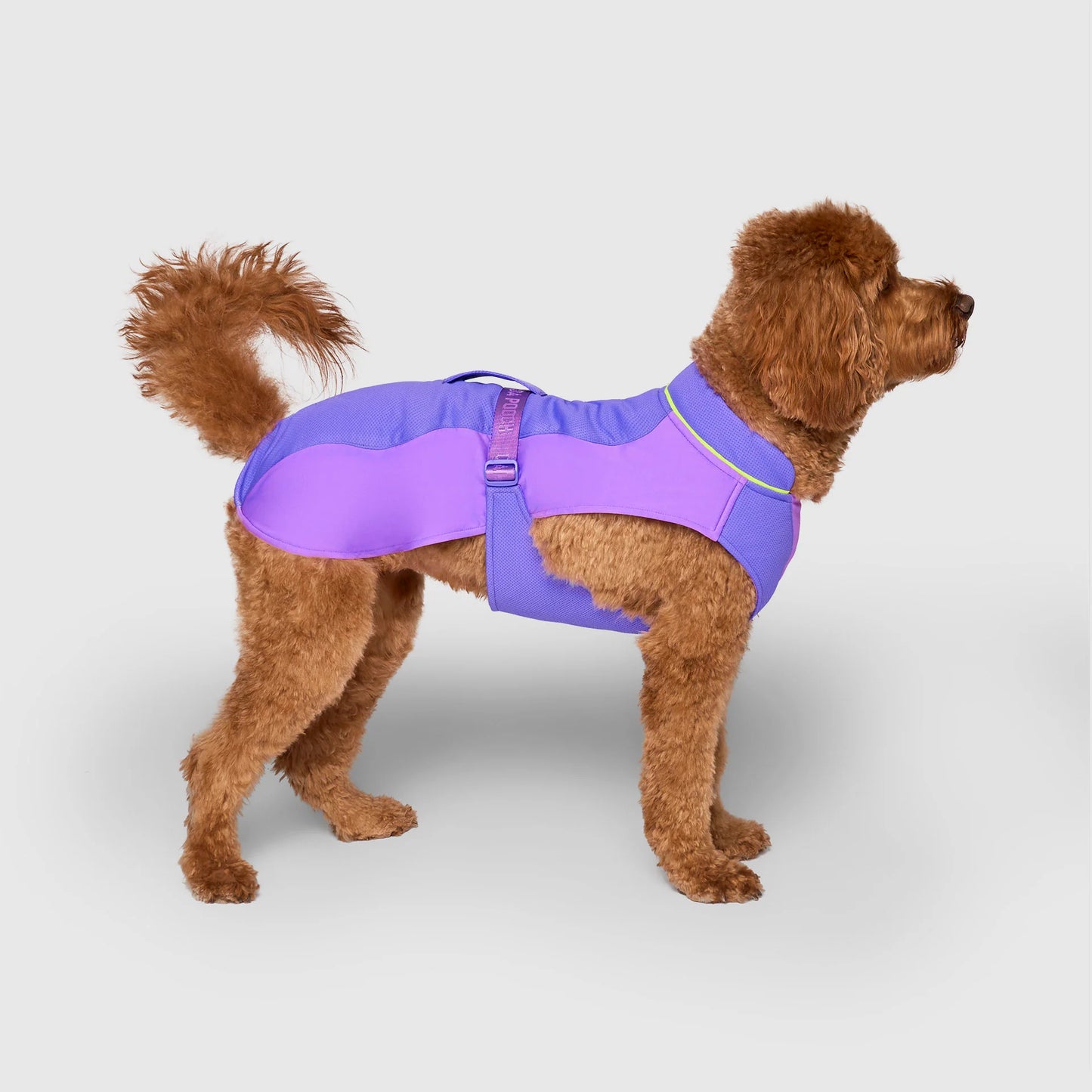 Max Chill Cooling Vest
