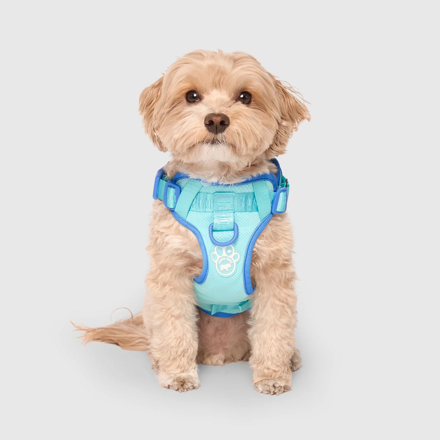 Max Chill Cooling Harness