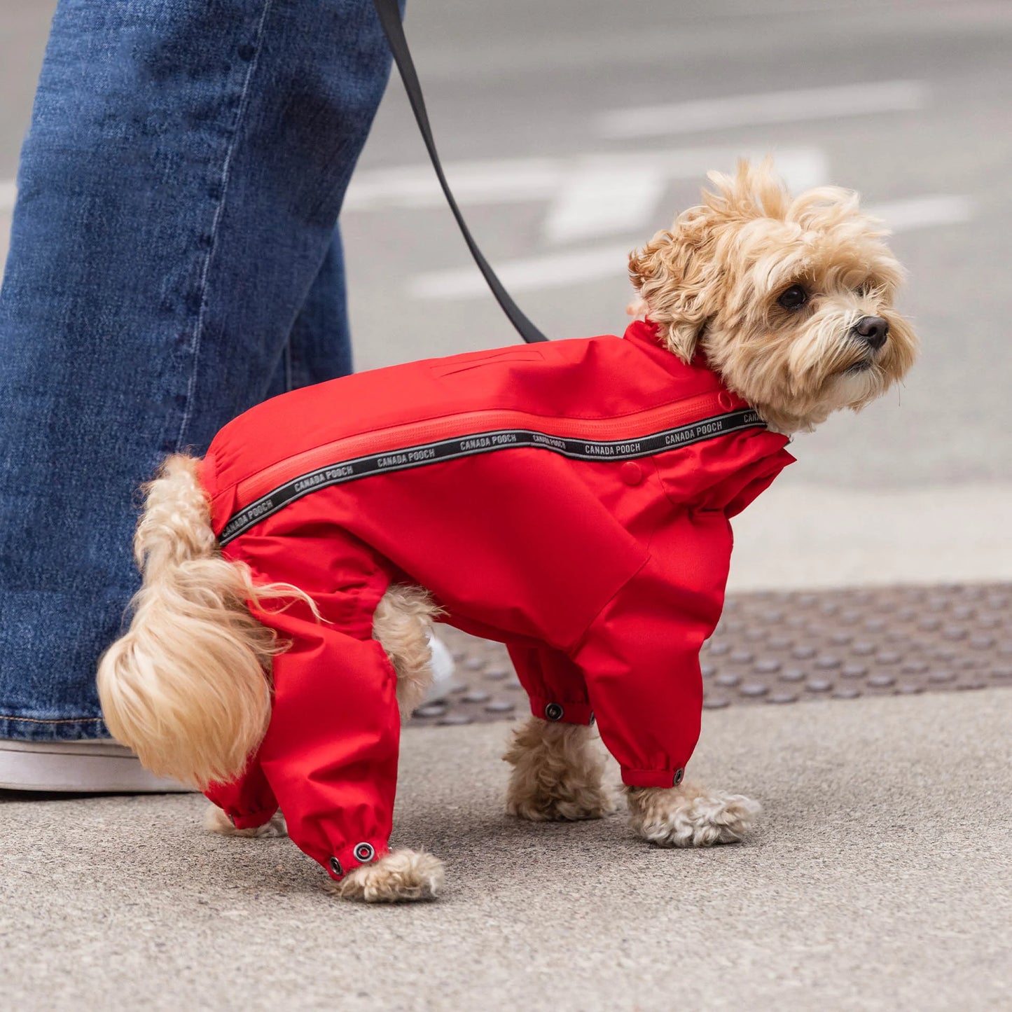 The Slush Suit