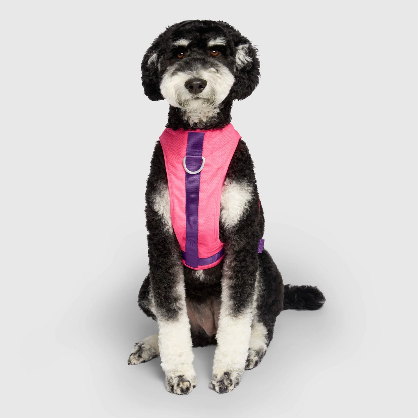 Chill Seeker Cooling Harness