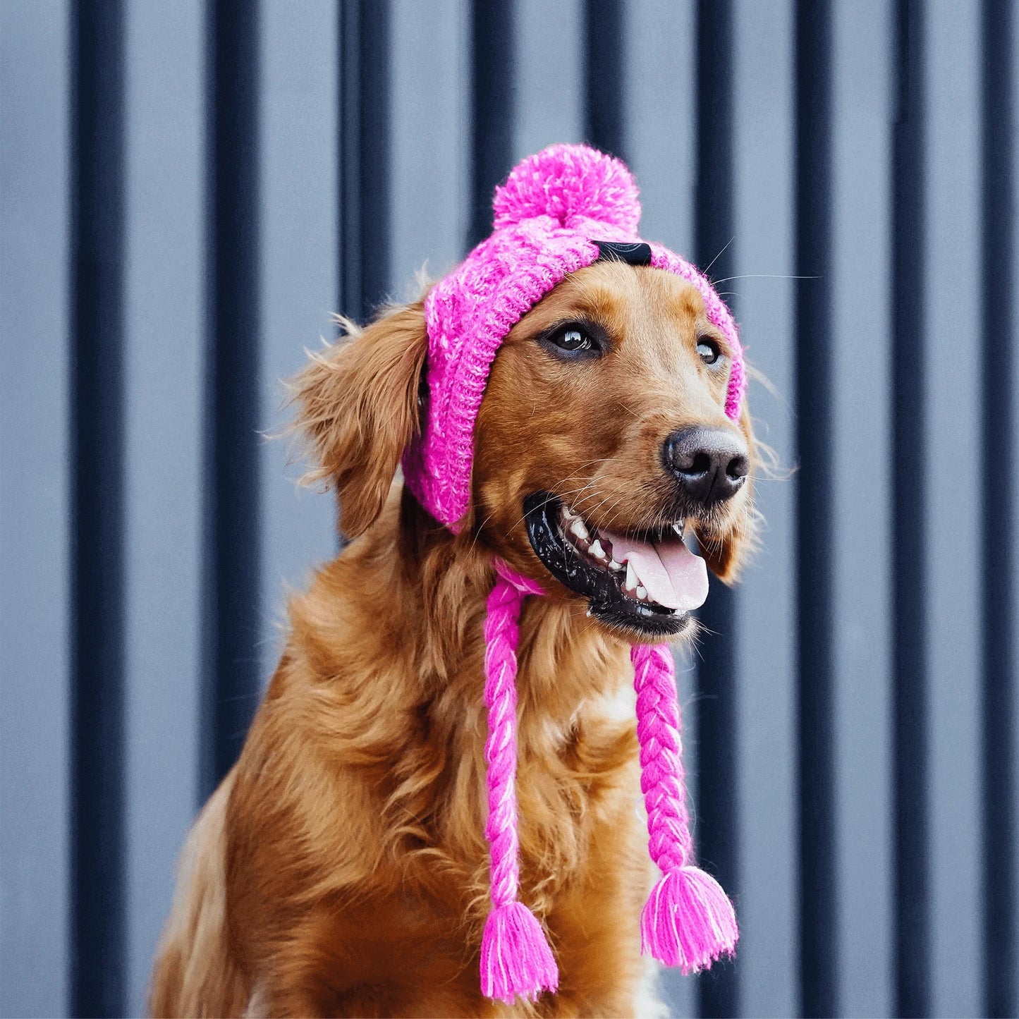 Polar Pom Pom Hat