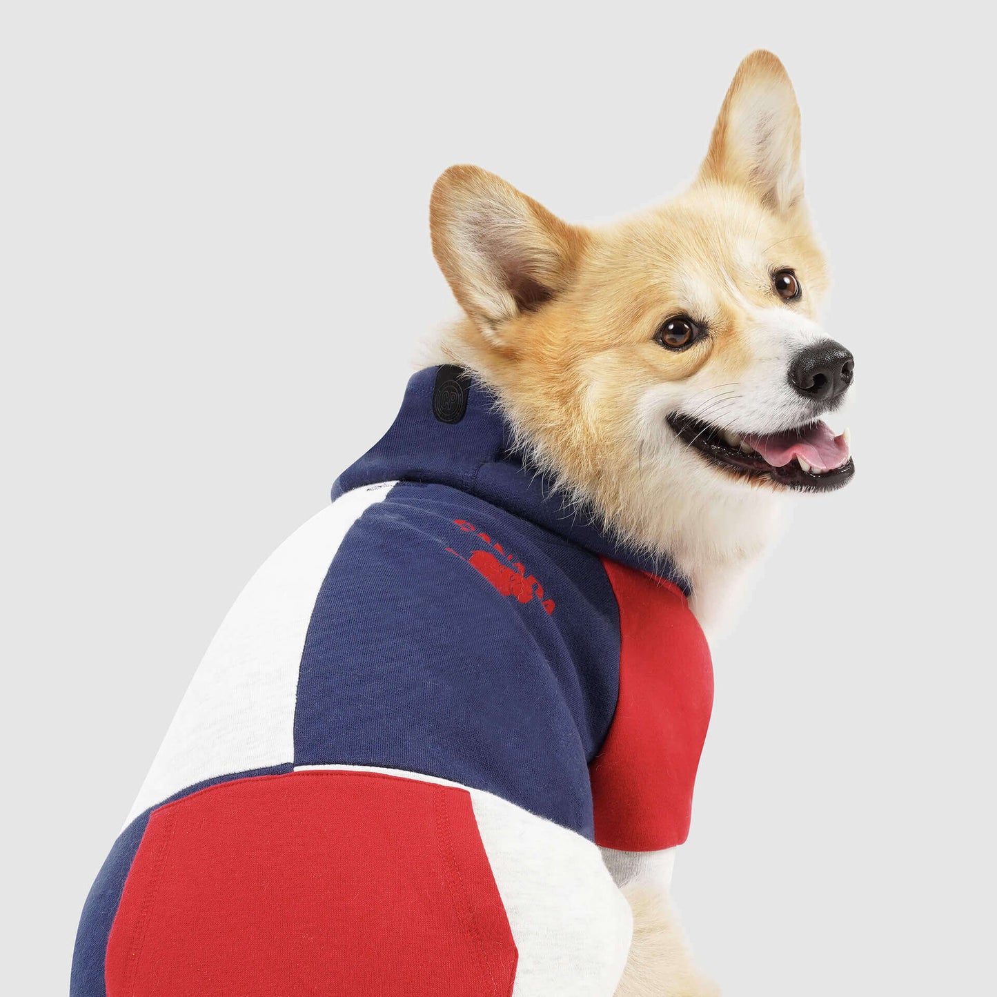 Colorblock Hoodie