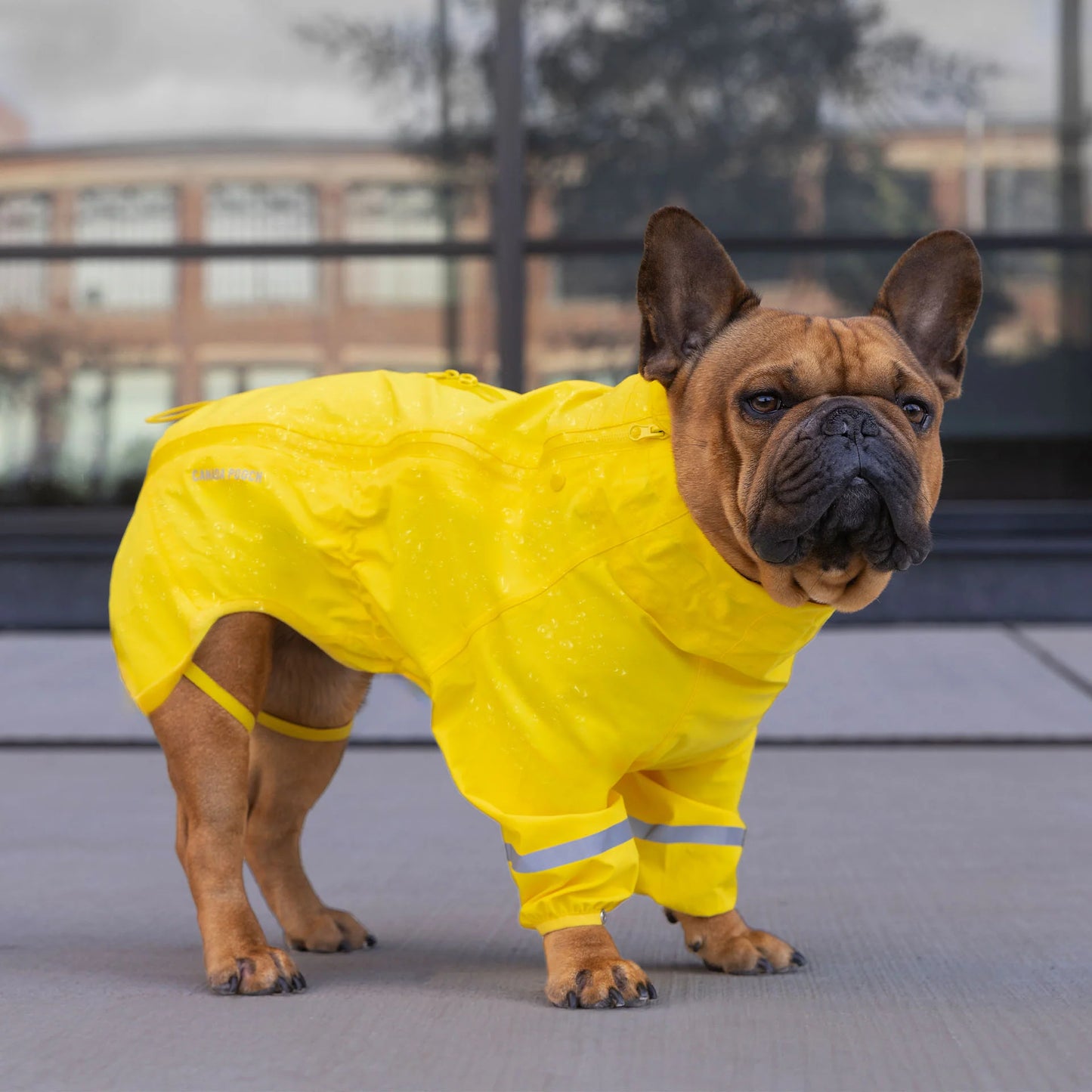 Waterproof Raincoat
