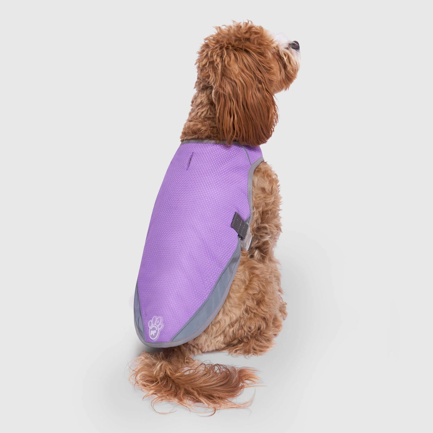 Chill Seeker Cooling Vest Wet Reveal