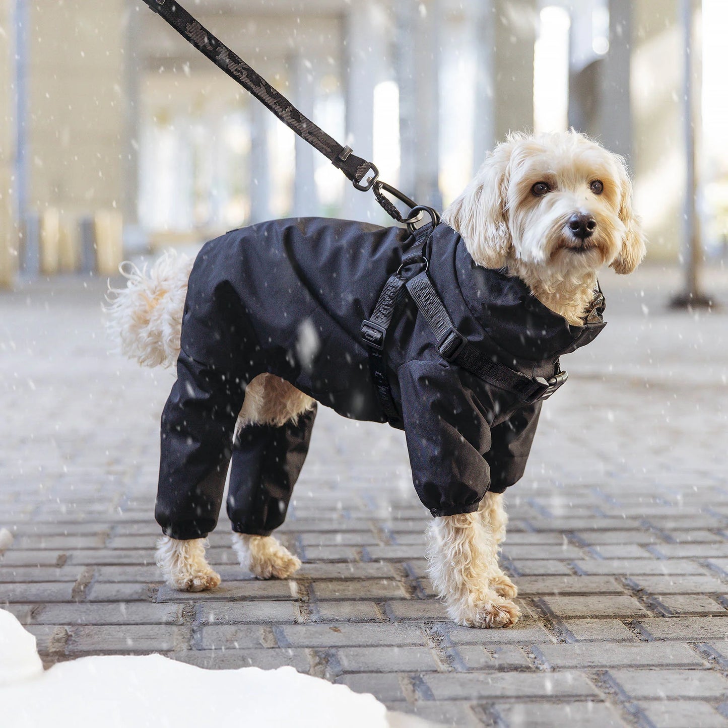 Harness Snow Suit