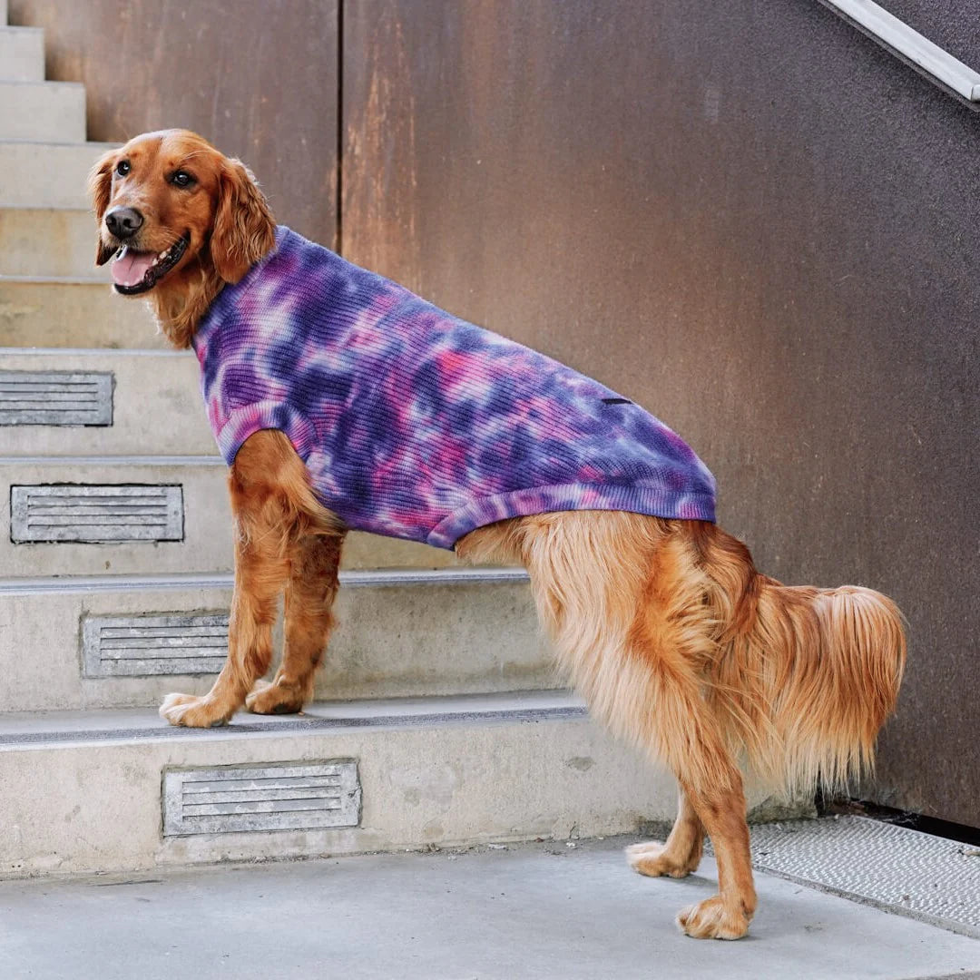 Wild Side Sweater