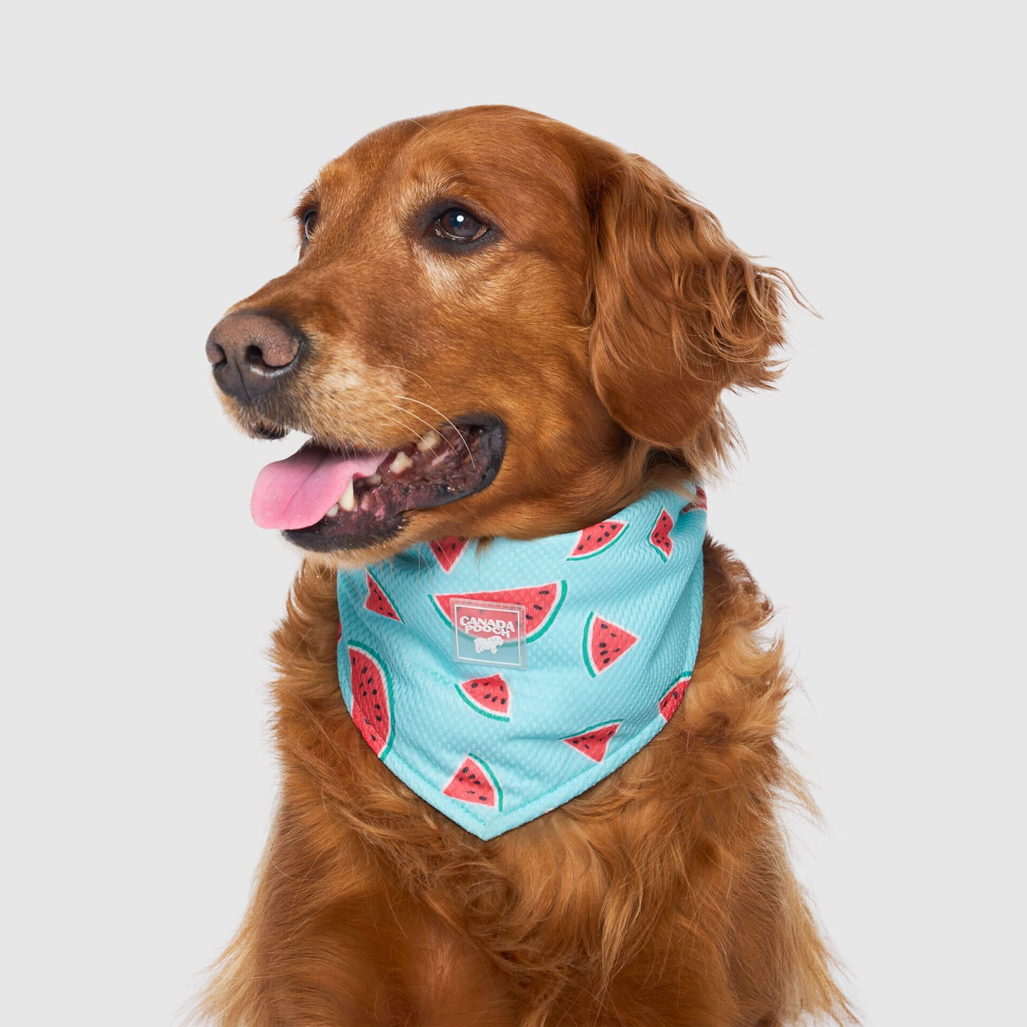 Cooling Bandana