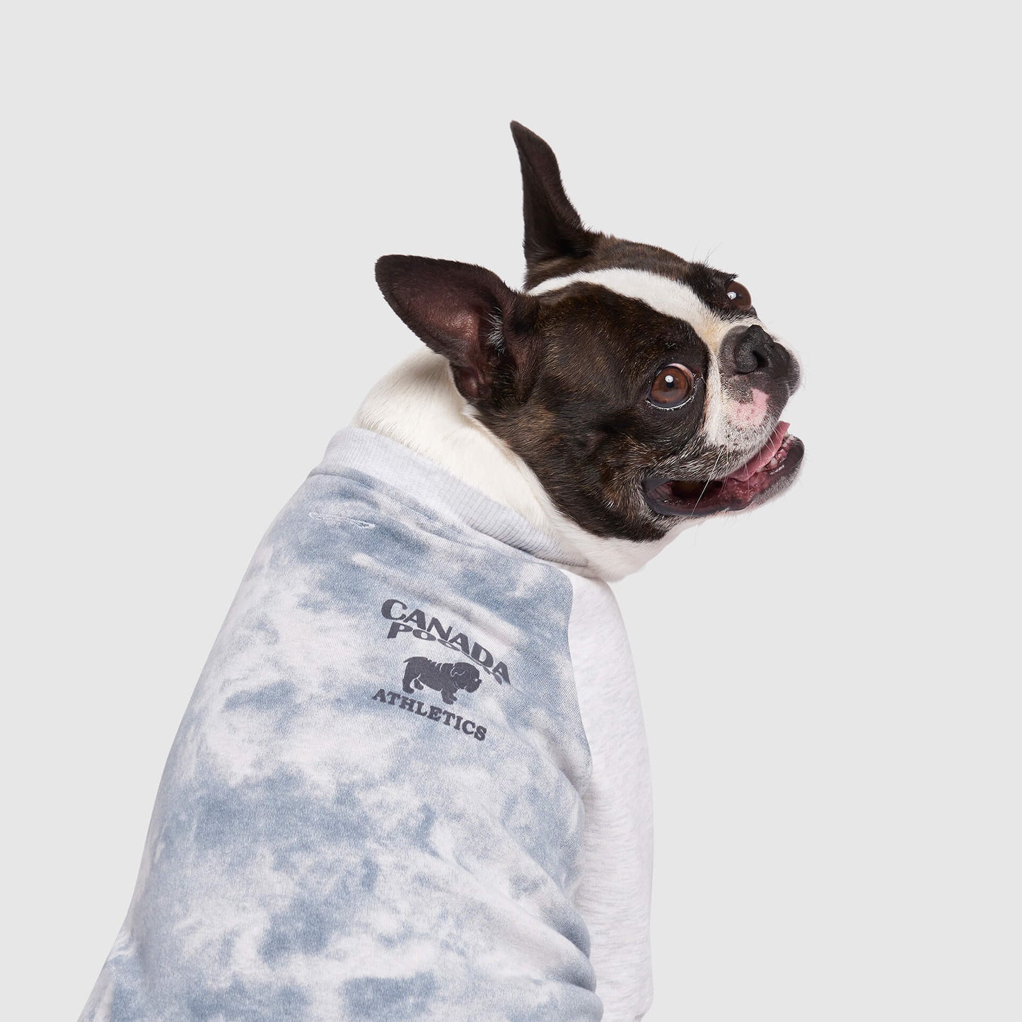 Frosty Fleece Sweatsuit
