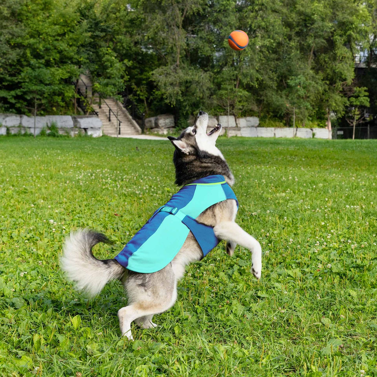 Max Chill Cooling Vest