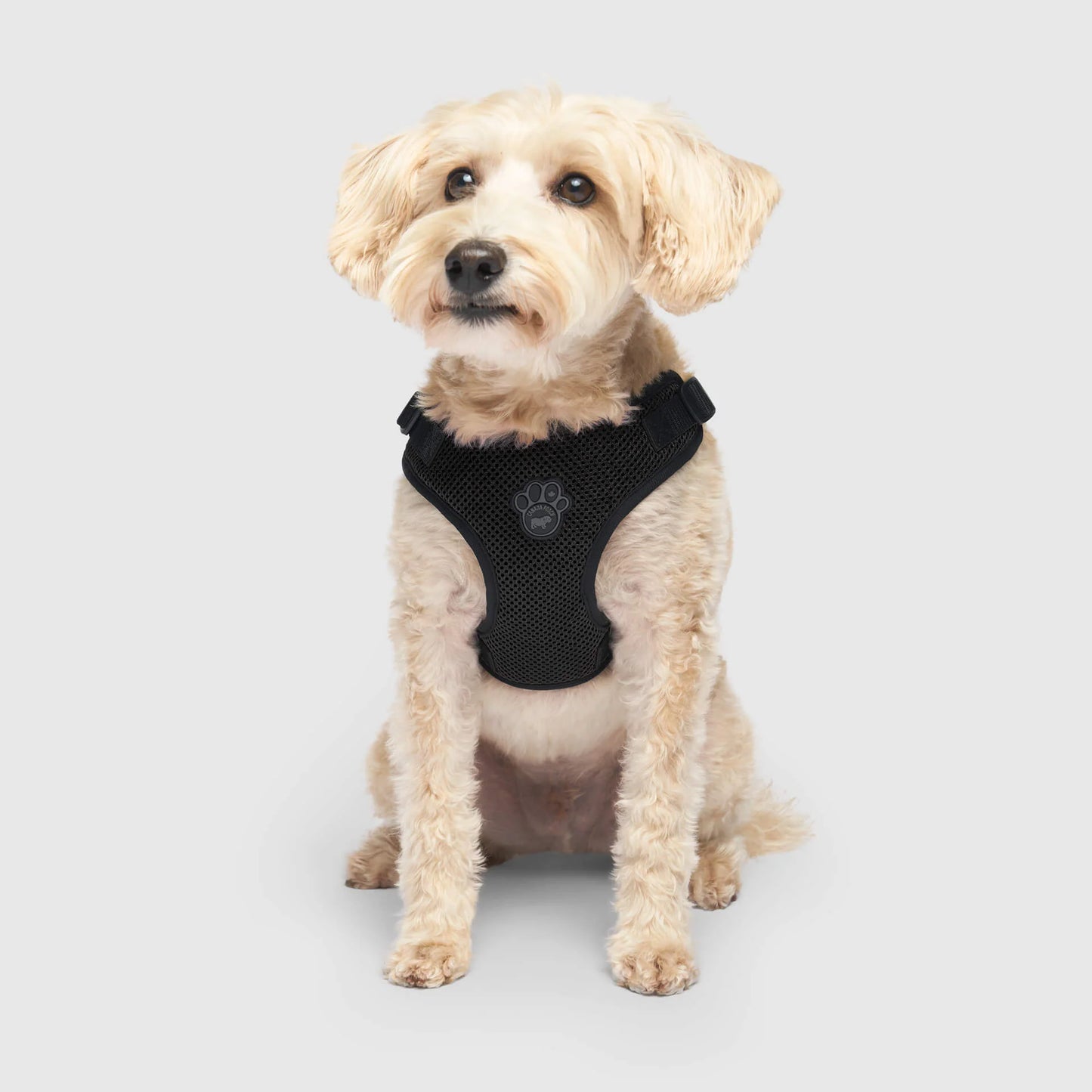 Easy-On Step-In Harness