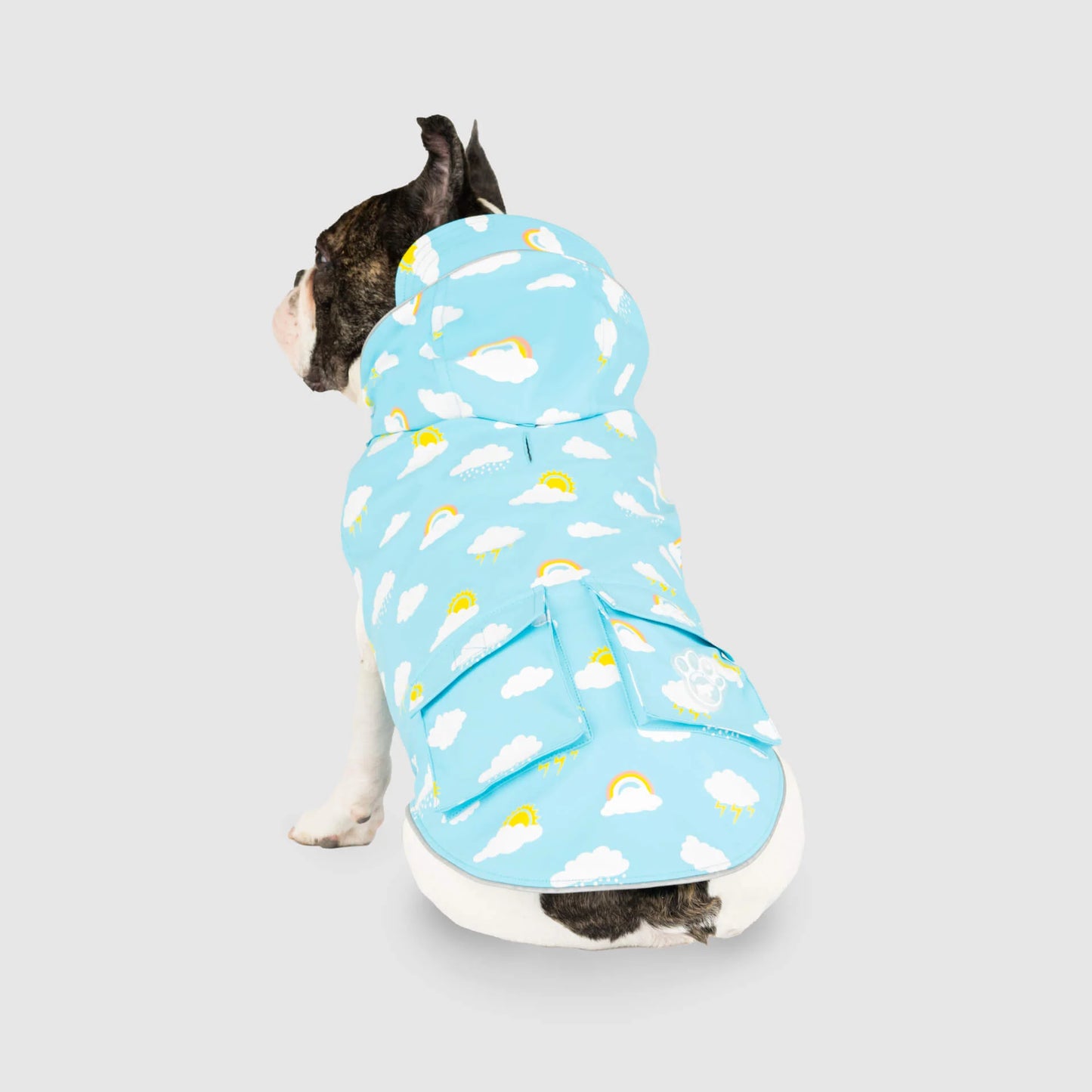 Wet Reveal Torrential Tracker