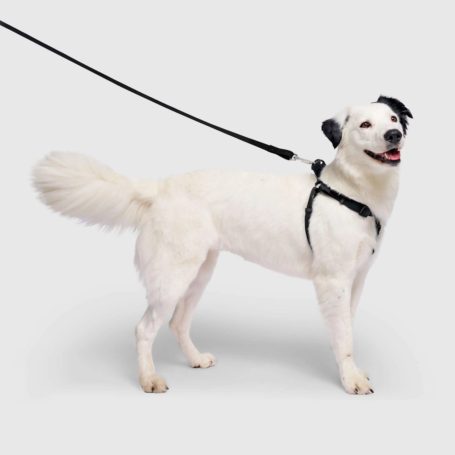 Waterproof Harness
