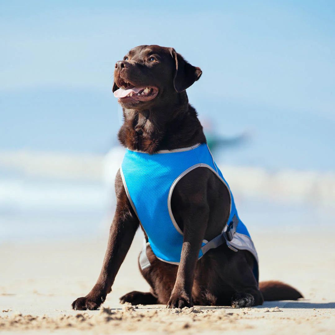 Chill Seeker Cooling Vest