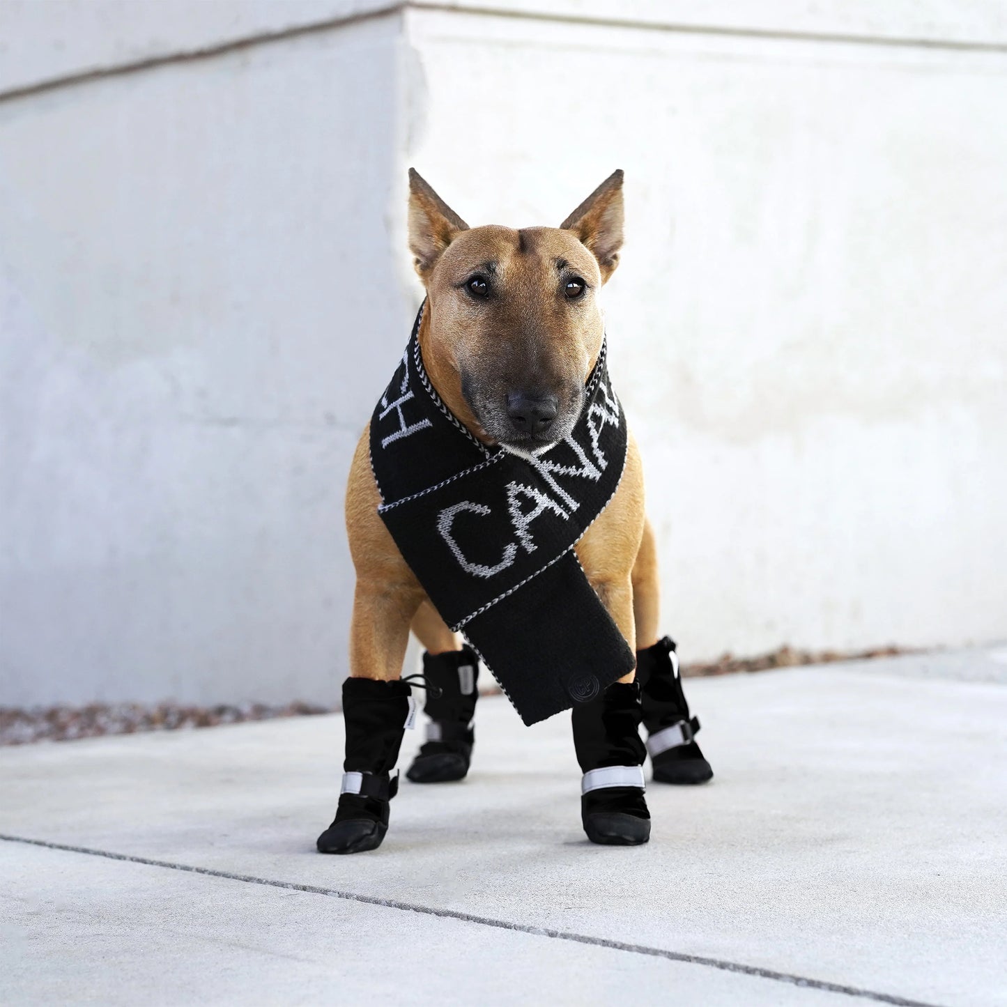 Logo Scarf