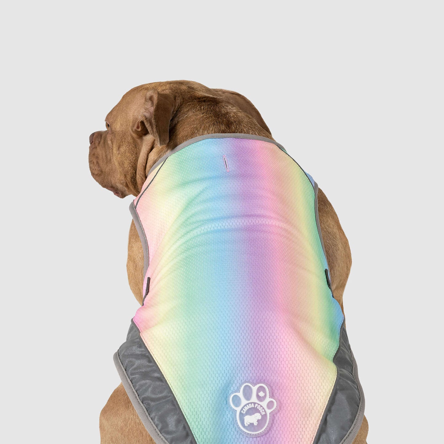 Chill Seeker Cooling Vest