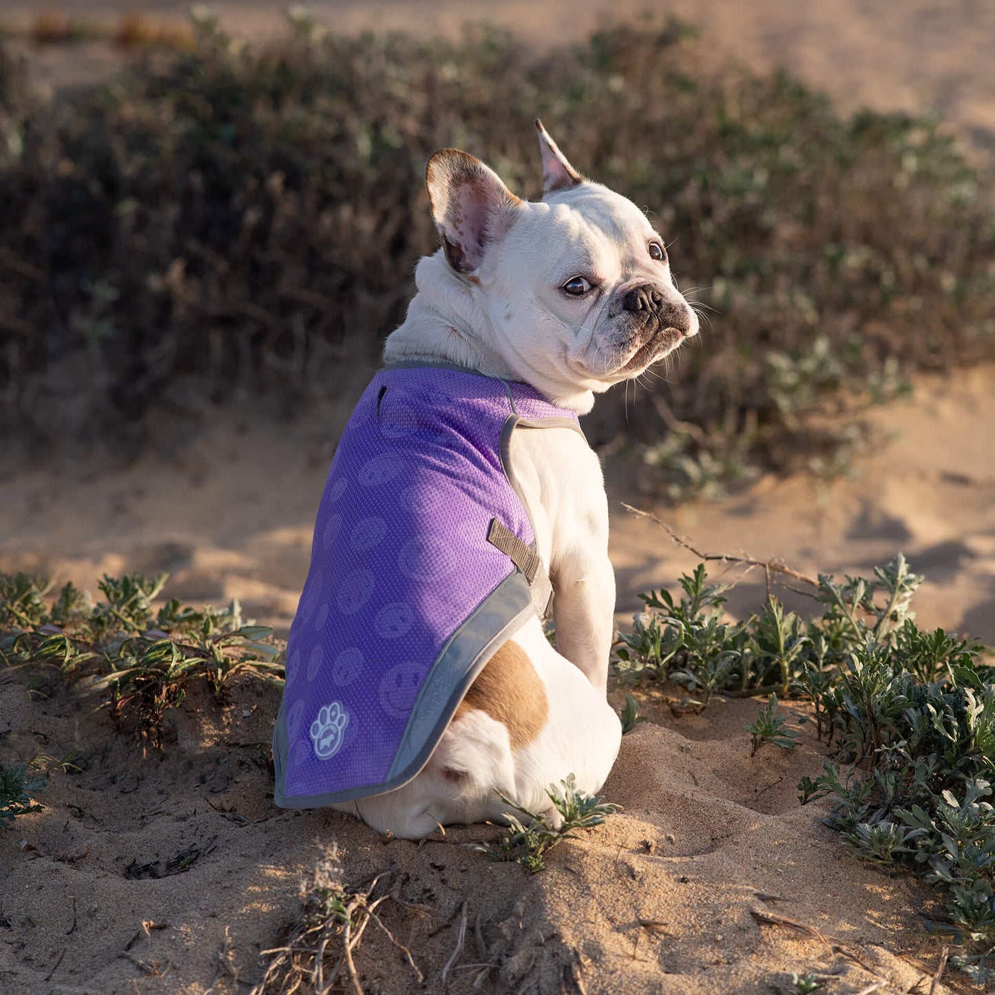 Chill Seeker Cooling Vest Wet Reveal