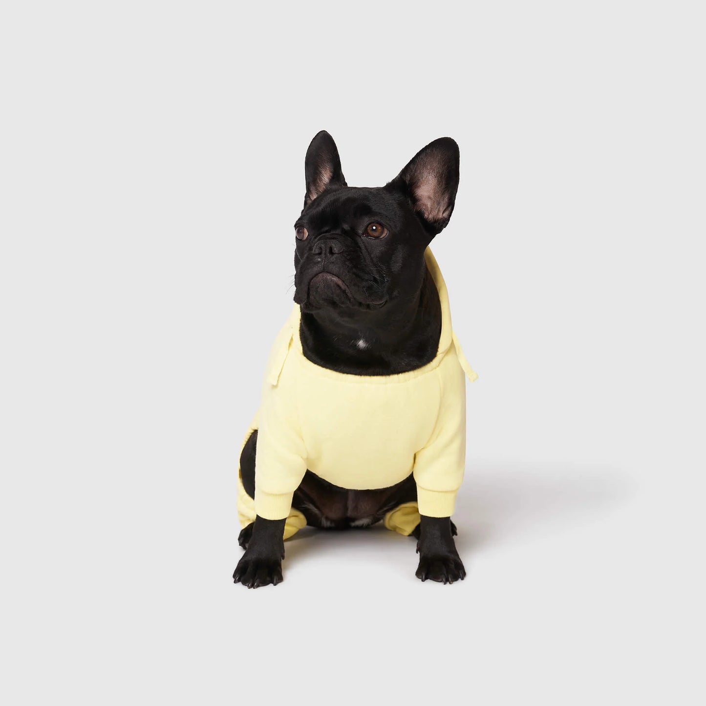 Soft Side Sweatsuit