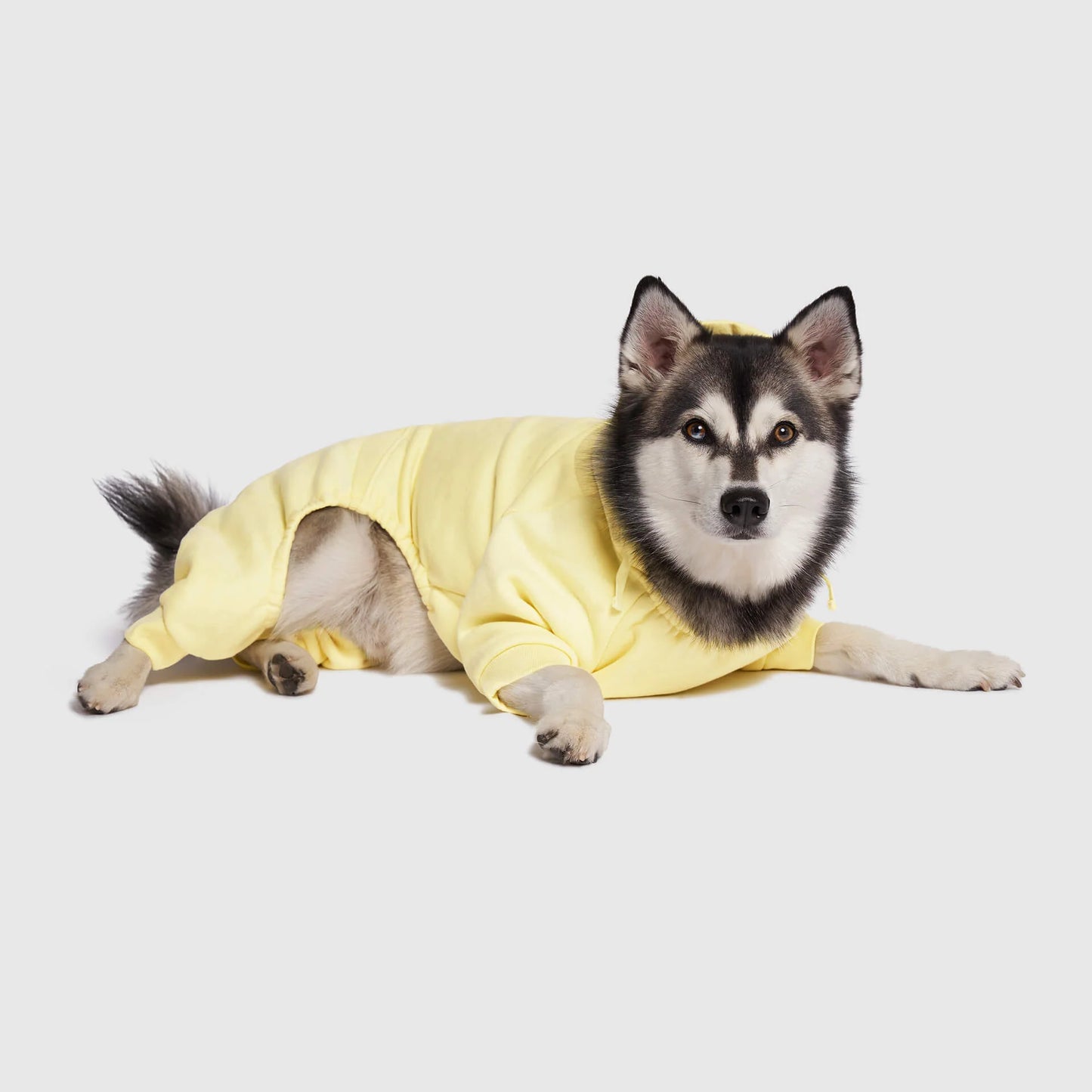 Soft Side Sweatsuit