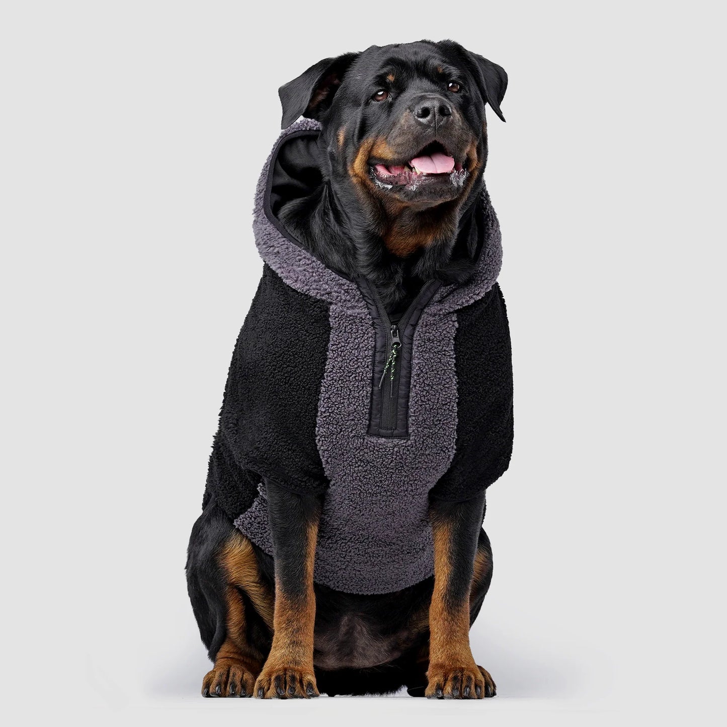 Cool Factor Hoodie
