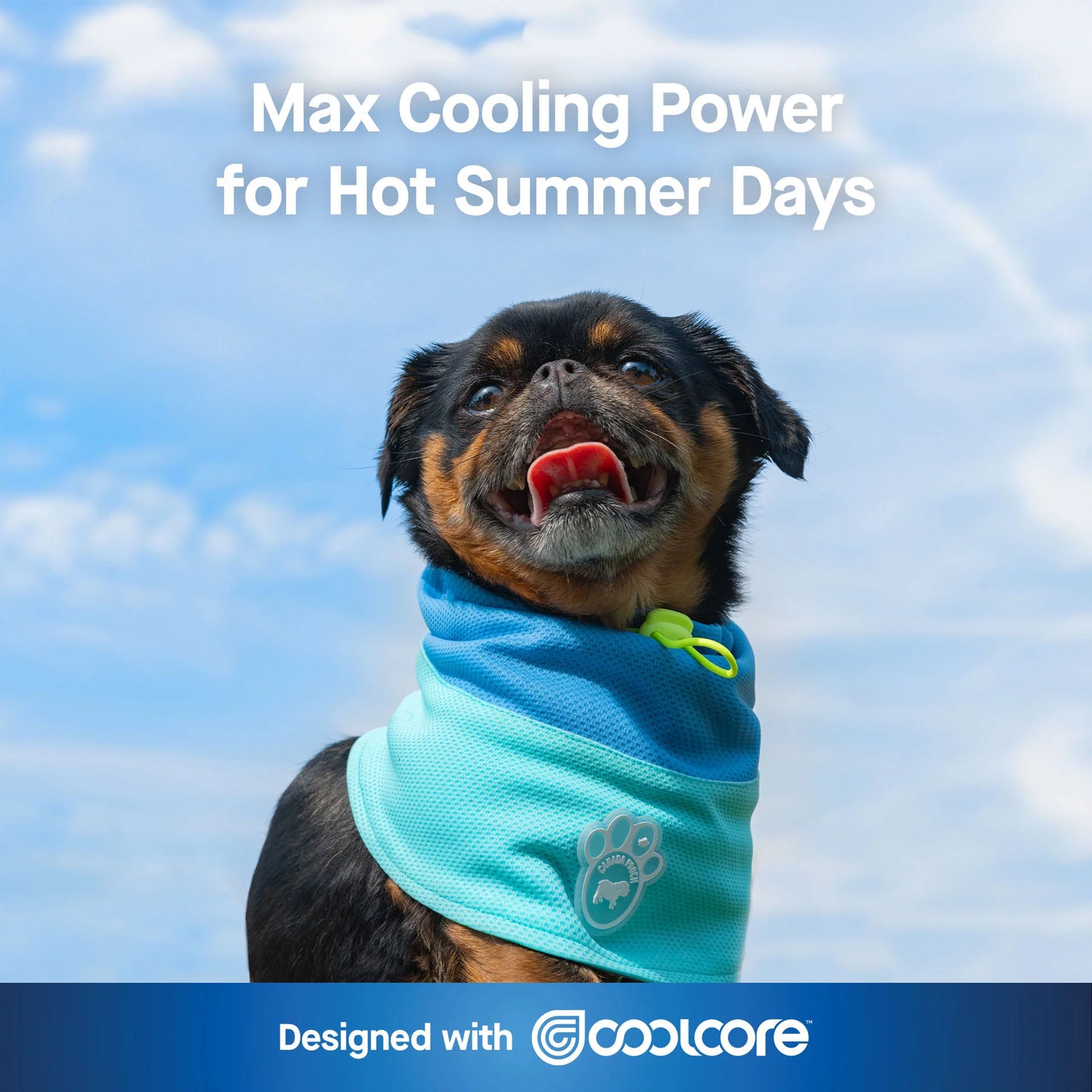 Max Chill Cooling Snood