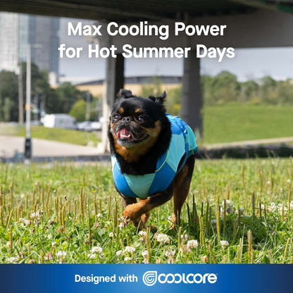 Max Chill Cooling Vest