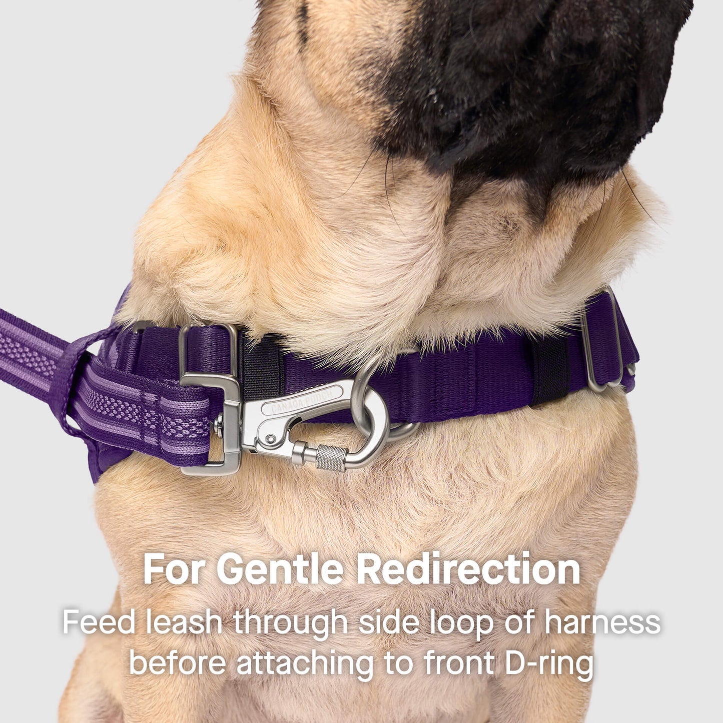 Re-Direct Harness