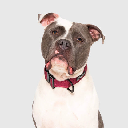 Utility Collar