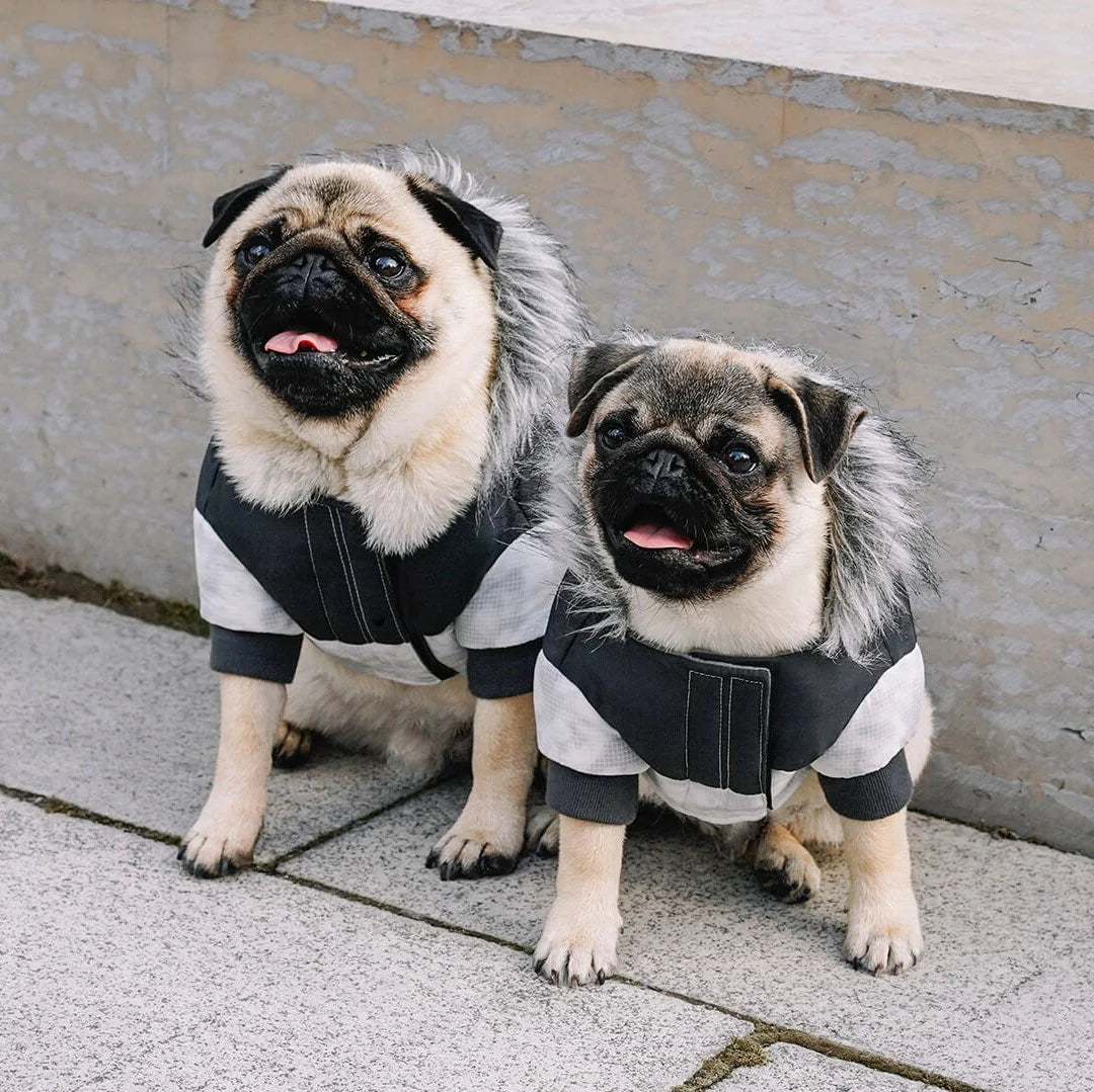 Eco+ True North Parka