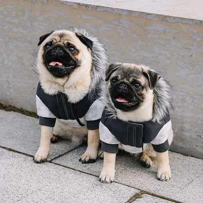 Eco+ True North Parka
