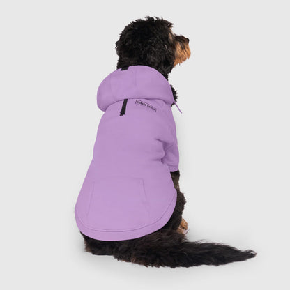 Eco+ Everyday Hoodie