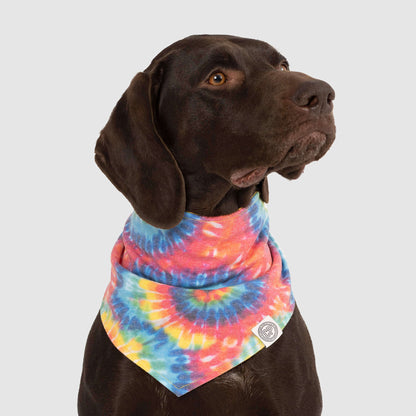 Follow Me Bandana