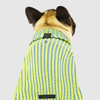 Icon Sweater