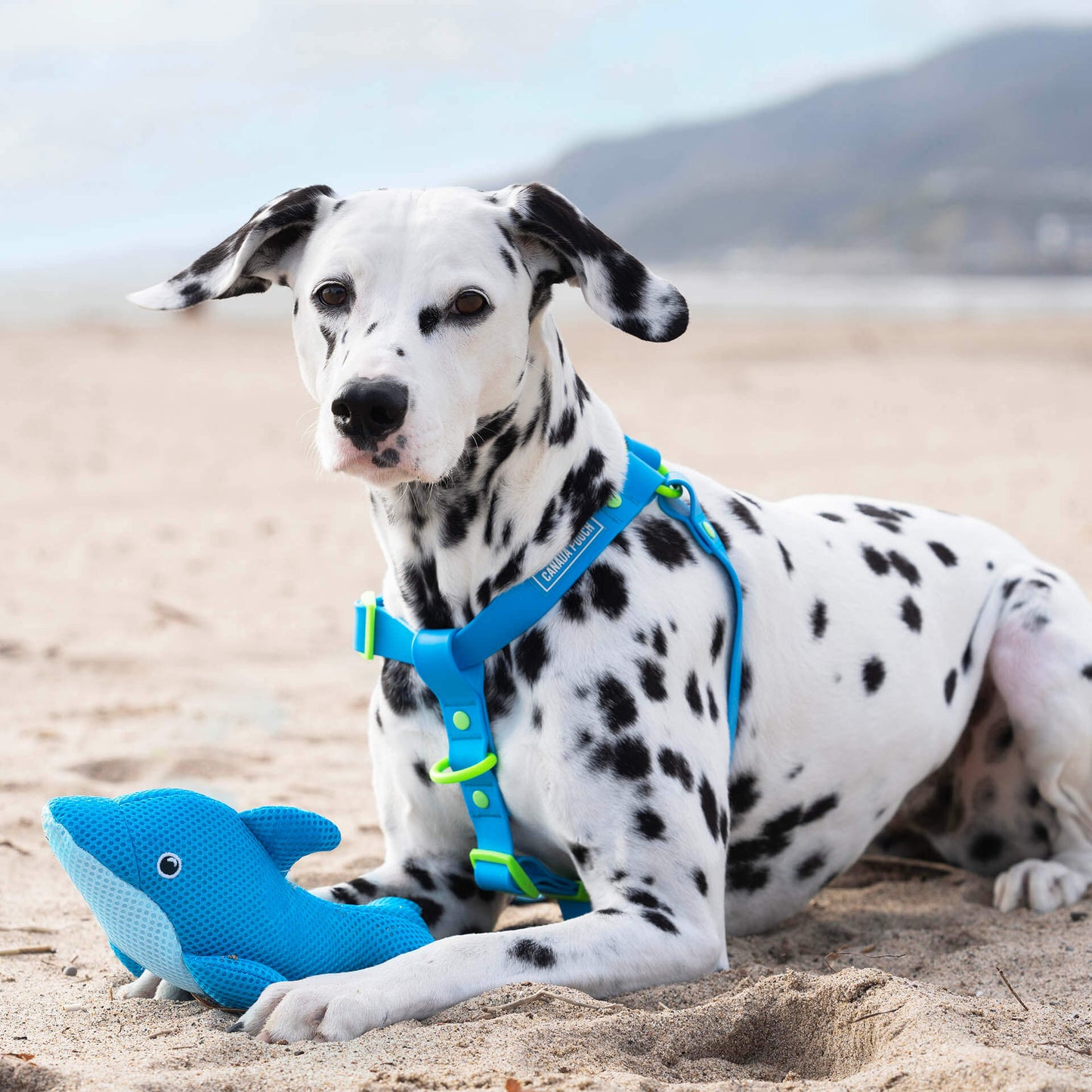 Freeze & Chill Cooling Pal Toy
