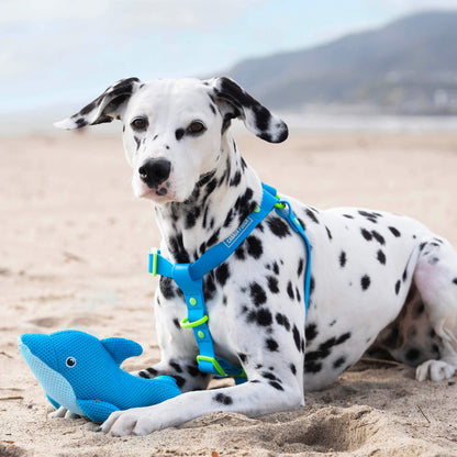 Freeze & Chill Cooling Pal Toy