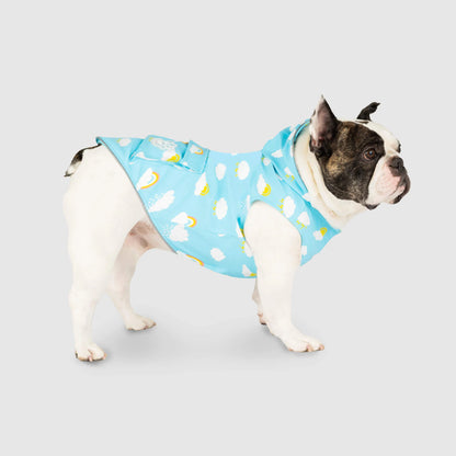 Wet Reveal Torrential Tracker