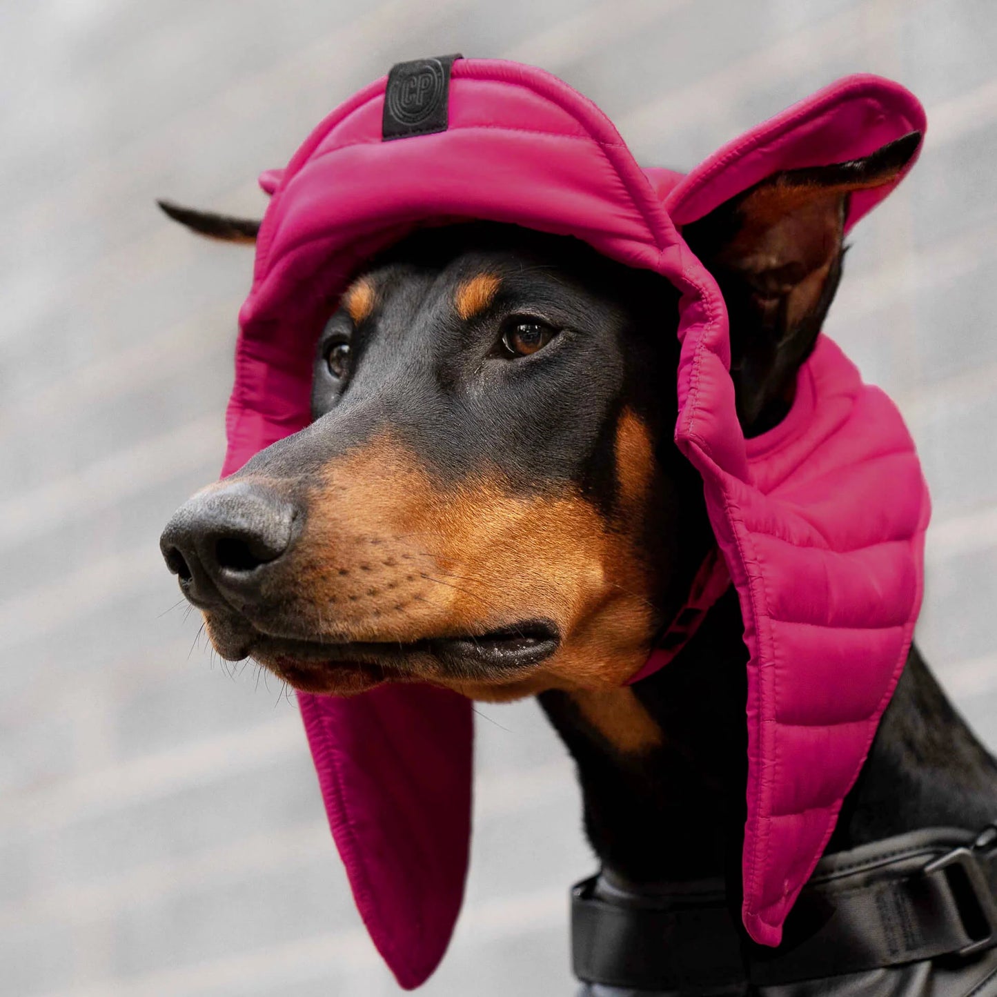 Puffer Hat